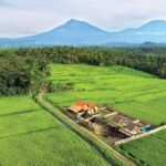 Liburan ke desa wisata organik